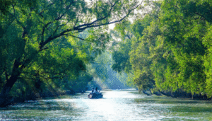 Sundarban travels